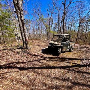 Photo #45 of 14528 Lee Jackson Hwy, Big Island, VA 70.1 acres