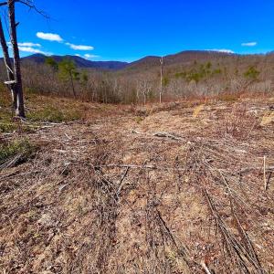 Photo #82 of 14528 Lee Jackson Hwy, Big Island, VA 70.1 acres