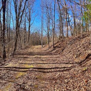 Photo #7 of 14528 Lee Jackson Hwy, Big Island, VA 70.1 acres