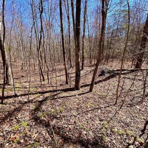 Photo #73 of 14528 Lee Jackson Hwy, Big Island, VA 70.1 acres