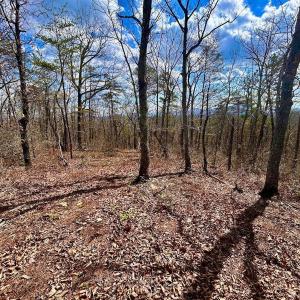 Photo #41 of 14528 Lee Jackson Hwy, Big Island, VA 70.1 acres