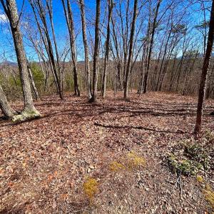 Photo #38 of 14528 Lee Jackson Hwy, Big Island, VA 70.1 acres