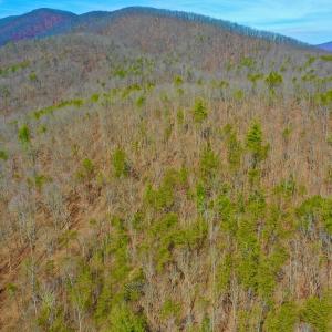 Photo #60 of 14528 Lee Jackson Hwy, Big Island, VA 70.1 acres