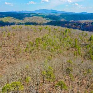 Photo #49 of 14528 Lee Jackson Hwy, Big Island, VA 70.1 acres