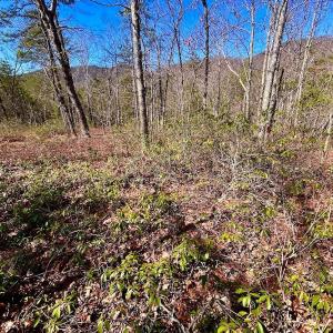 Photo #51 of 14528 Lee Jackson Hwy, Big Island, VA 70.1 acres