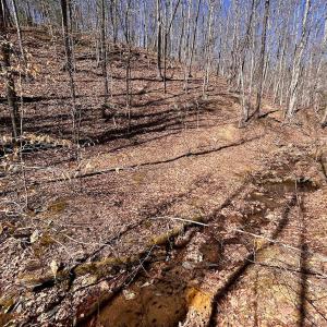 Photo #64 of 14528 Lee Jackson Hwy, Big Island, VA 70.1 acres