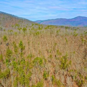 Photo #59 of 14528 Lee Jackson Hwy, Big Island, VA 70.1 acres