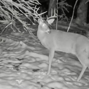 Photo #55 of 14528 Lee Jackson Hwy, Big Island, VA 70.1 acres