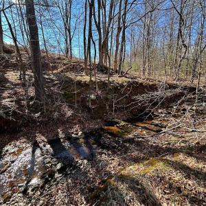 Photo #23 of 14528 Lee Jackson Hwy, Big Island, VA 70.1 acres