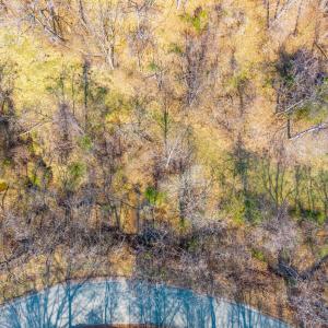 Photo #14 of Puppy Creek, Amherst, VA 24.3 acres