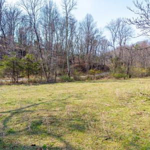 Photo #12 of Puppy Creek, Amherst, VA 24.3 acres