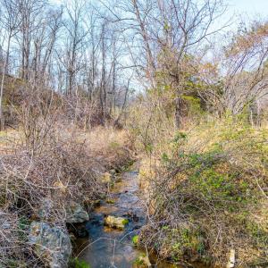Photo #5 of Puppy Creek, Amherst, VA 24.3 acres