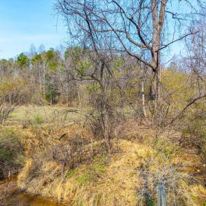 Photo #4 of Puppy Creek, Amherst, VA 24.3 acres