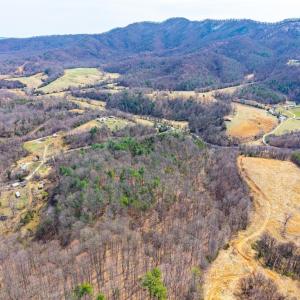 Photo #25 of Puppy Creek, Amherst, VA 24.3 acres