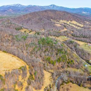 Photo #18 of Puppy Creek, Amherst, VA 24.3 acres