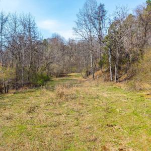Photo #9 of Puppy Creek, Amherst, VA 24.3 acres