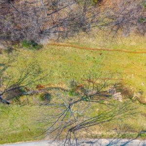 Photo #16 of Puppy Creek, Amherst, VA 24.3 acres