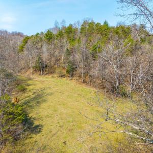 Photo #7 of Puppy Creek, Amherst, VA 24.3 acres