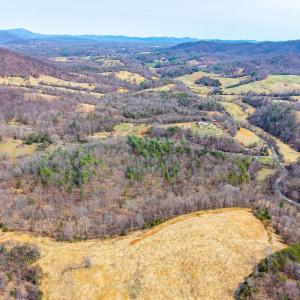 Photo #21 of Puppy Creek, Amherst, VA 24.3 acres