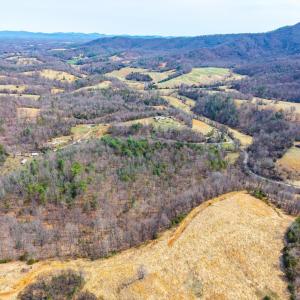 Photo #22 of Puppy Creek, Amherst, VA 24.3 acres