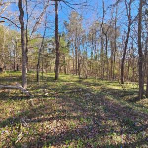 Photo #3 of Layne Street, Farmville, VA 2.4 acres