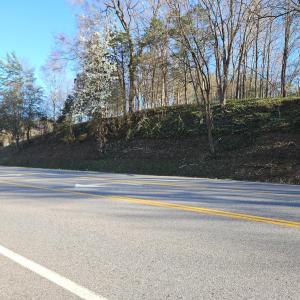 Photo #8 of Layne Street, Farmville, VA 2.4 acres