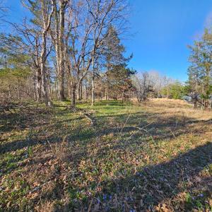 Photo #1 of Layne Street, Farmville, VA 2.4 acres