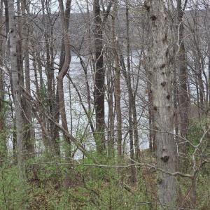 Photo #2 of Horseshoe Bend Road, Goodview, VA 1.6 acres
