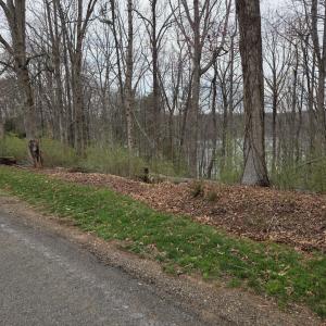 Photo #7 of Horseshoe Bend Road, Goodview, VA 1.6 acres