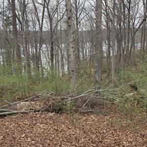 Photo #3 of Horseshoe Bend Road, Goodview, VA 1.6 acres