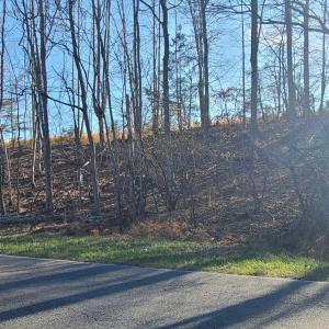 Photo #3 of Cifax Rd, Goode, VA 2.0 acres