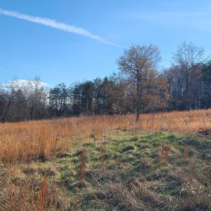 Photo #2 of Cifax Rd, Goode, VA 2.0 acres