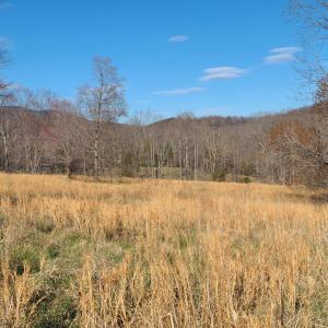 Photo #1 of Cifax Rd, Goode, VA 2.0 acres
