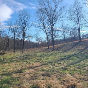 Photo #1 of Cifax Road, Goode, VA 2.0 acres