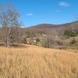 Photo #3 of Cifax Road, Goode, VA 2.0 acres