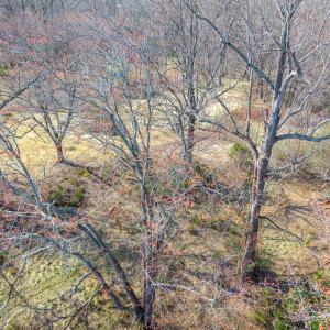 Photo #33 of Ridge Drive, Amherst, VA 1.6 acres