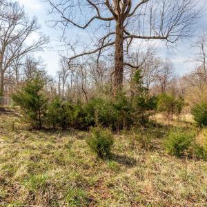 Photo #22 of Ridge Drive, Amherst, VA 1.6 acres