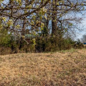 Photo #27 of Ridge Drive, Amherst, VA 1.6 acres