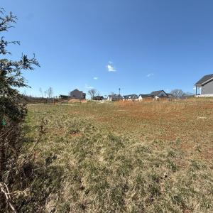 Photo #4 of 202 Waughs Landing Drive, Lynchburg, VA 0.2 acres