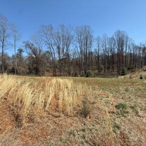 Photo #2 of 202 Waughs Landing Drive, Lynchburg, VA 0.2 acres