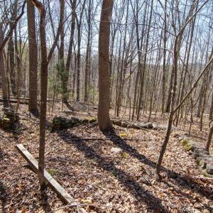 Photo #13 of 9 Oak Dr, Moneta, VA 5.3 acres
