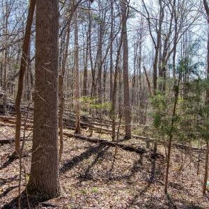 Photo #16 of 9 Oak Dr, Moneta, VA 5.3 acres