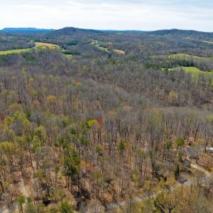 Photo #3 of 9 Oak Dr, Moneta, VA 5.3 acres