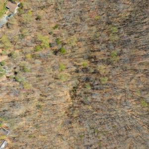 Photo #7 of 9 Oak Dr, Moneta, VA 5.3 acres
