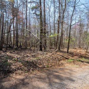 Photo #11 of 9 Oak Dr, Moneta, VA 5.3 acres