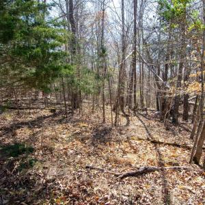 Photo #12 of 9 Oak Dr, Moneta, VA 5.3 acres