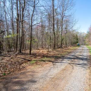 Photo #8 of 9 Oak Dr, Moneta, VA 5.3 acres