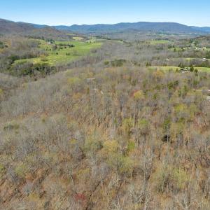 Photo #5 of 9 Oak Dr, Moneta, VA 5.3 acres