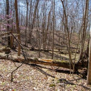Photo #19 of 9 Oak Dr, Moneta, VA 5.3 acres