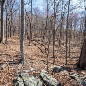 Photo #21 of 9 Oak Dr, Moneta, VA 5.3 acres